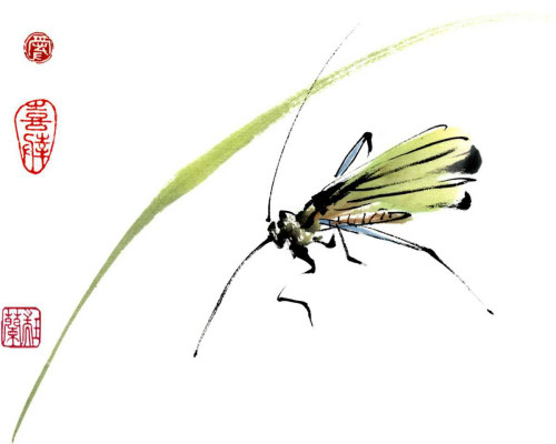 Grasshopper Poster Print - Nan Rae Parker