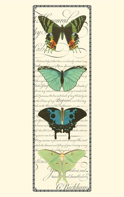Small Butterfly Prose Panel II  Poster Print - Studio Vision
