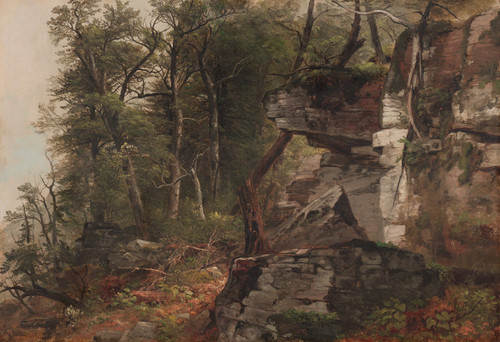 Trees on a Rocky Hillside  Poster Print by Asher Brown Durand