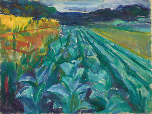 Cabbage Field  Poster Print by Edvard Munch