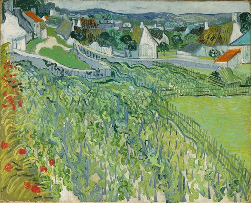Vineyards at Auvers  Poster Print by Vincent van Gogh