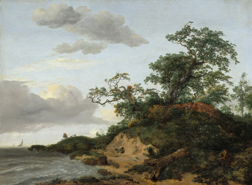 Dunes by the Sea  Poster Print by Jacob van Ruisdael