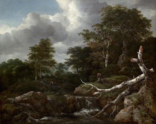Forest Scene  Poster Print by Jacob van Ruisdael