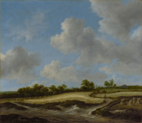 Landscape with a Wheatfield  Poster Print by Jacob van Ruisdael
