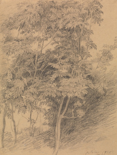 Tree Study  Poster Print by Sir David Wilkie