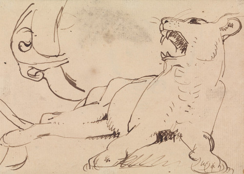 Study of a Lioness  Poster Print by Benjamin Robert Haydon