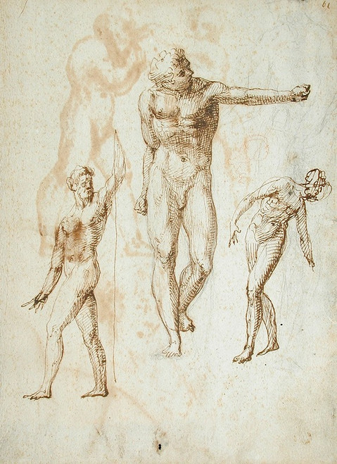 Sheet of Studies  Poster Print by Anonymous