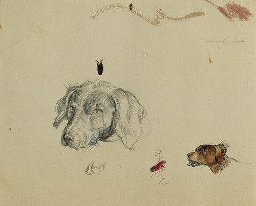 Hundestudie Poster Print by Johann Peter Krafft