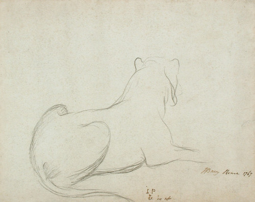 Lioness  Poster Print by James Barry