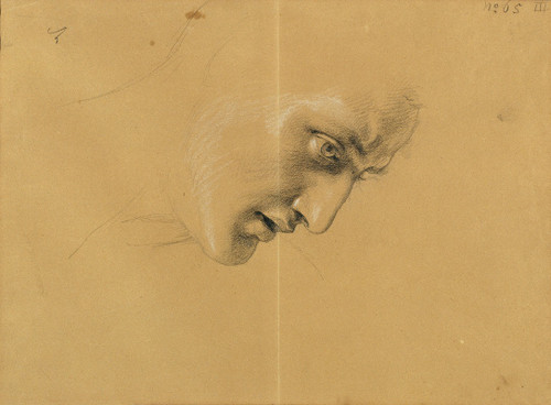 Kopfstudie Poster Print by Johann Peter Krafft