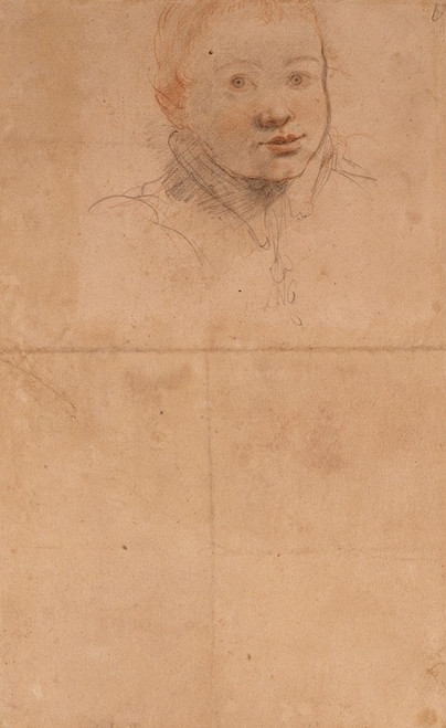 Study of a Young Man  Poster Print by Federico Zuccaro