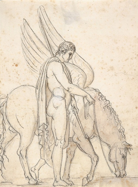 Bellerophon and Pegasus  Poster Print by Bertel Thorvaldsen