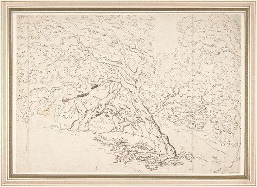 Study of trees  Poster Print by Thomas Rowlandson
