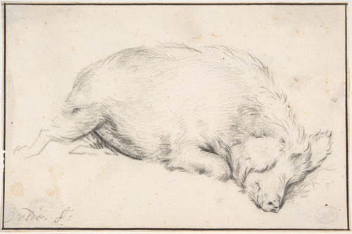 A Sleeping Swine  Poster Print by Adriaen van de Velde