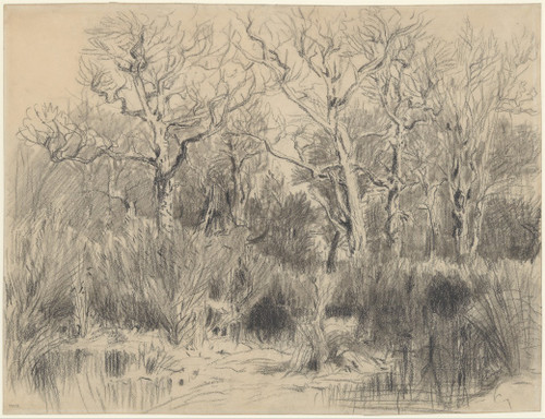 Trees in a Thicket  Poster Print by Th√©odore Rousseau