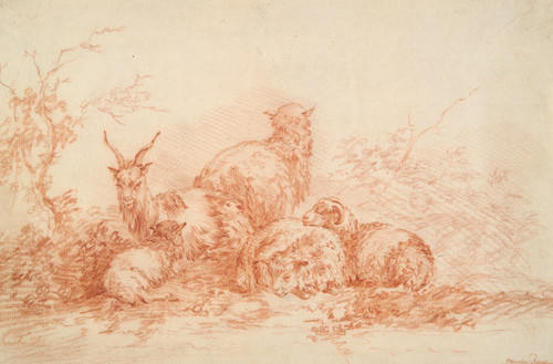 Sheep and Goat Resting  Poster Print by Simon van der Does