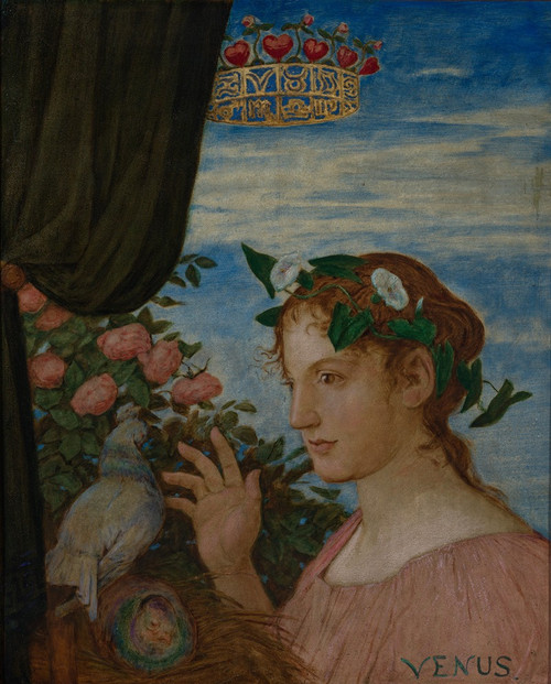 Venus   Poster Print by Hans Thoma