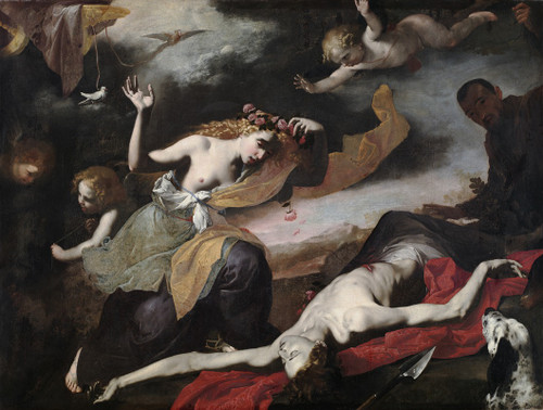 Venus Discovering the Dead Adonis  Poster Print by Anonymous
