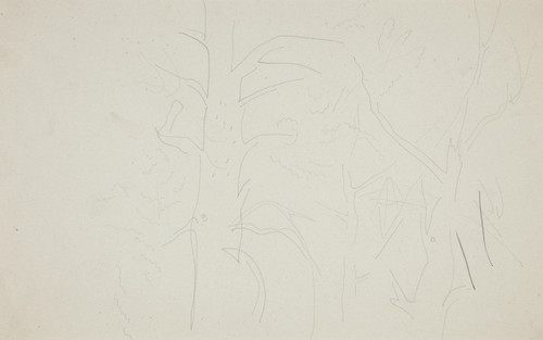 Trees  Poster Print by Charles Demuth