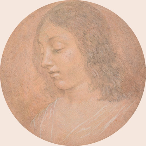 Head of a Young Woman  Poster Print by Lorenzo di Credi