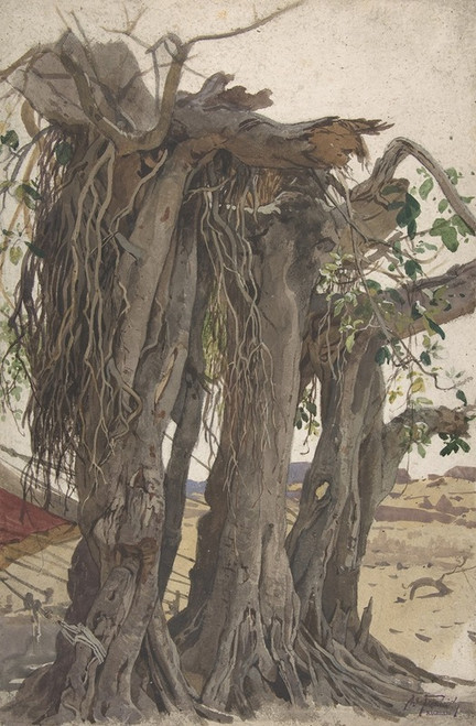 Study of a Stump with Aerial Roots  Poster Print by Woldemar Friedrich
