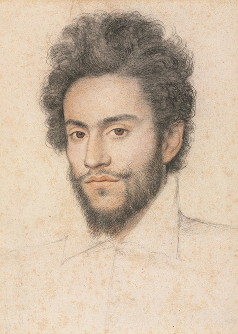 Young Man with a Beard  Poster Print by Fran‚îú¬∫ois Quesnel