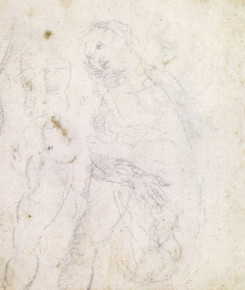 Study of a Madonna   Poster Print by Leonardo da Vinci