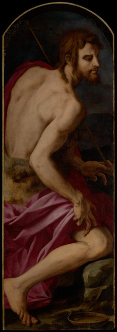 Saint John the Baptist  Poster Print by Agnolo Bronzino