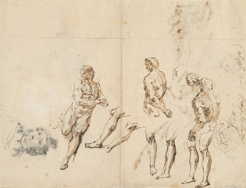 Head of a Woman and Studies of a Male Nude  Poster Print by Francesco Fontebasso