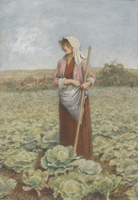 Cabbage field  Poster Print by Henry Green