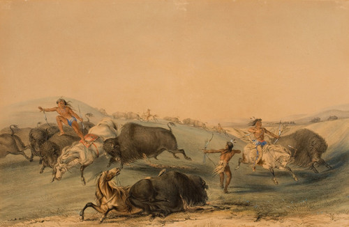 Buffalo Hunt, Chase  Poster Print by George Catlin