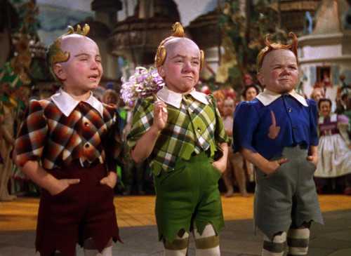 The Wizard Of Oz Photo Print - Item # VAREVCMCDWIOFEC059