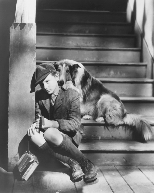 Lassie Come Home Photo Print - Item # VAREVCMBDLACOEC091