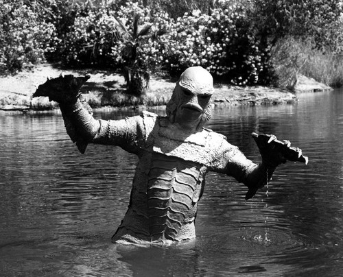 Creature From The Black Lagoon Photo Print