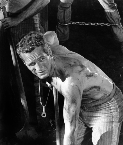 Cool Hand Luke Paul Newman  1967 Photo Print