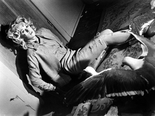 The Birds Tippi Hedren 1963 Photo Print - Item # VAREVCMBDBIRDEC001H