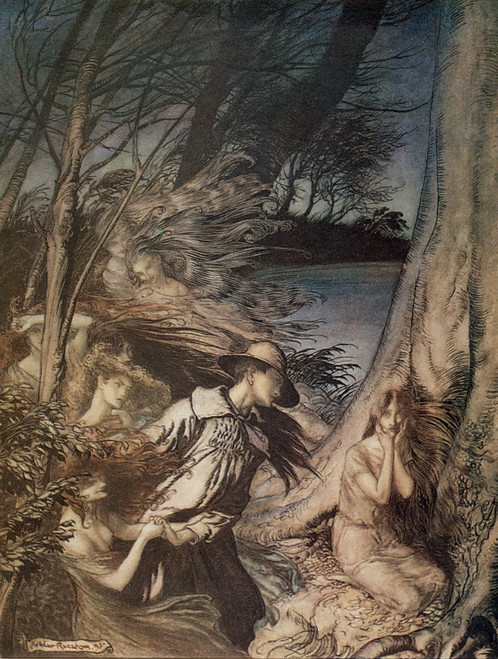Arthur Rackham's Book of Pictures 1913 The Fairy Wife Poster Print by  Arthur Rackham