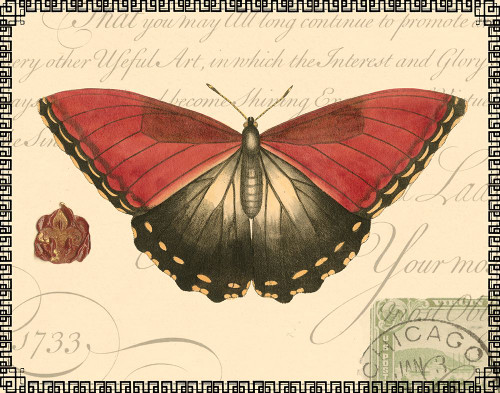 Butterfly Prose I Poster Print - Studio Vision