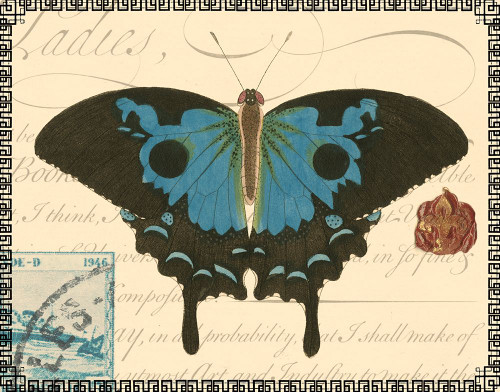 Butterfly Prose III Poster Print - Studio Vision