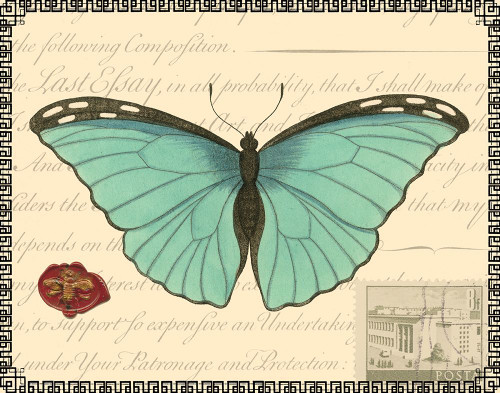 Butterfly Prose IV Poster Print - Studio Vision