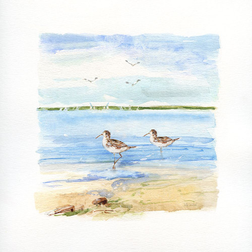 Sandpiper Beach II Poster Print - Sally Swatland