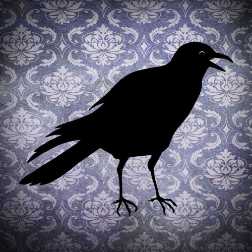 Crow and Damask Poster Print - Studio Vision