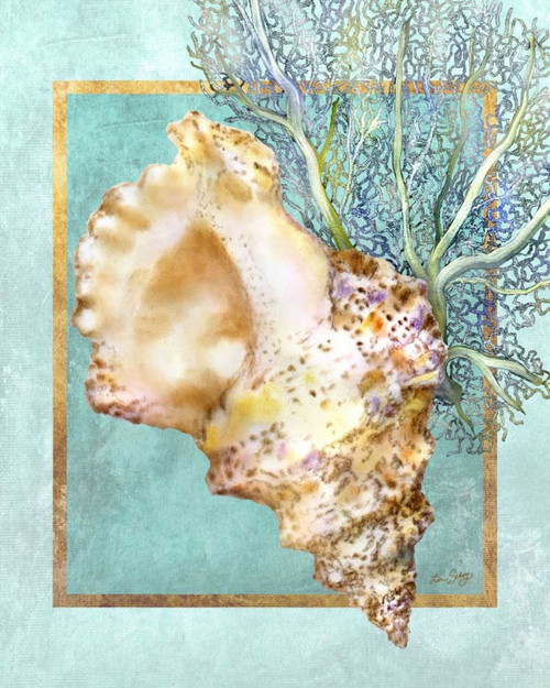 Conch Shell and Coral Poster Print - Lori Schory