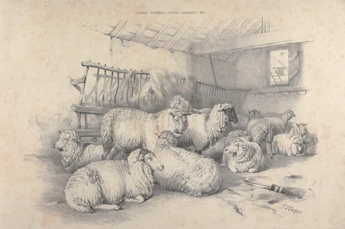 Thomas Sydney Cooper‚Äôs cattle subjects Pl.01  Poster Print by Thomas Sidney Cooper