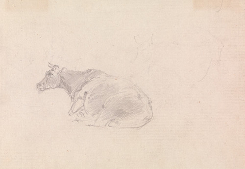 Study of a cow lying down Poster Print by Sawrey Gilpin