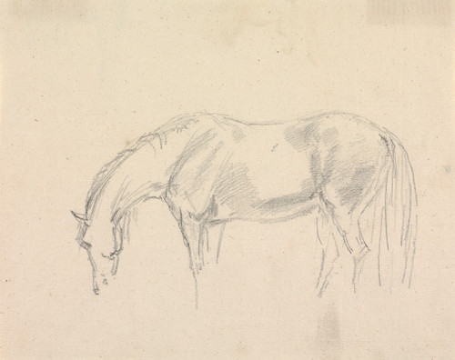 A Horse Grazing Poster Print by Sawrey Gilpin