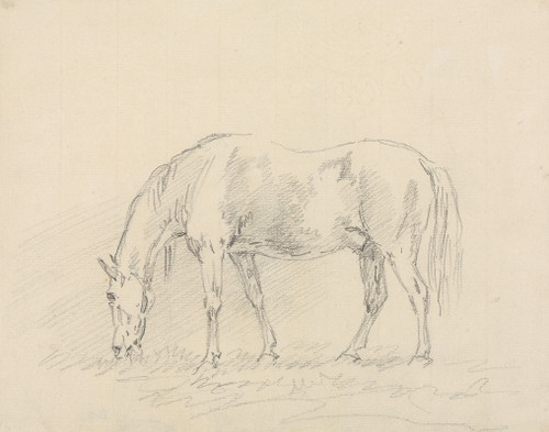 Horse Grazing Poster Print by Sawrey Gilpin