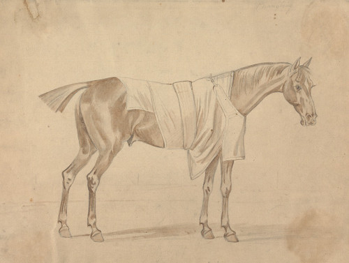 Horse Dressed in Blanket  Poster Print by Sawrey Gilpin