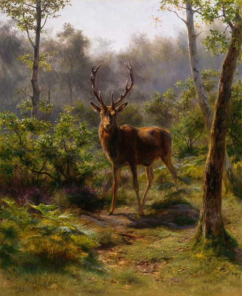 A Stag  Poster Print by Rosa Bonheur