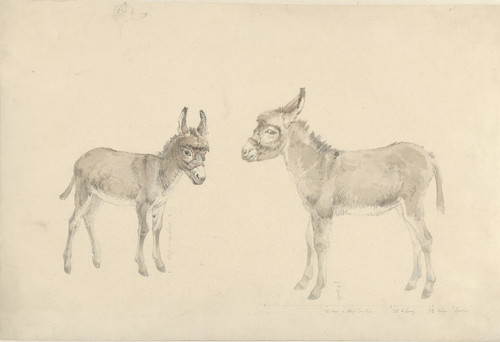 Twee ezels  Poster Print by Josephus Augustus Knip